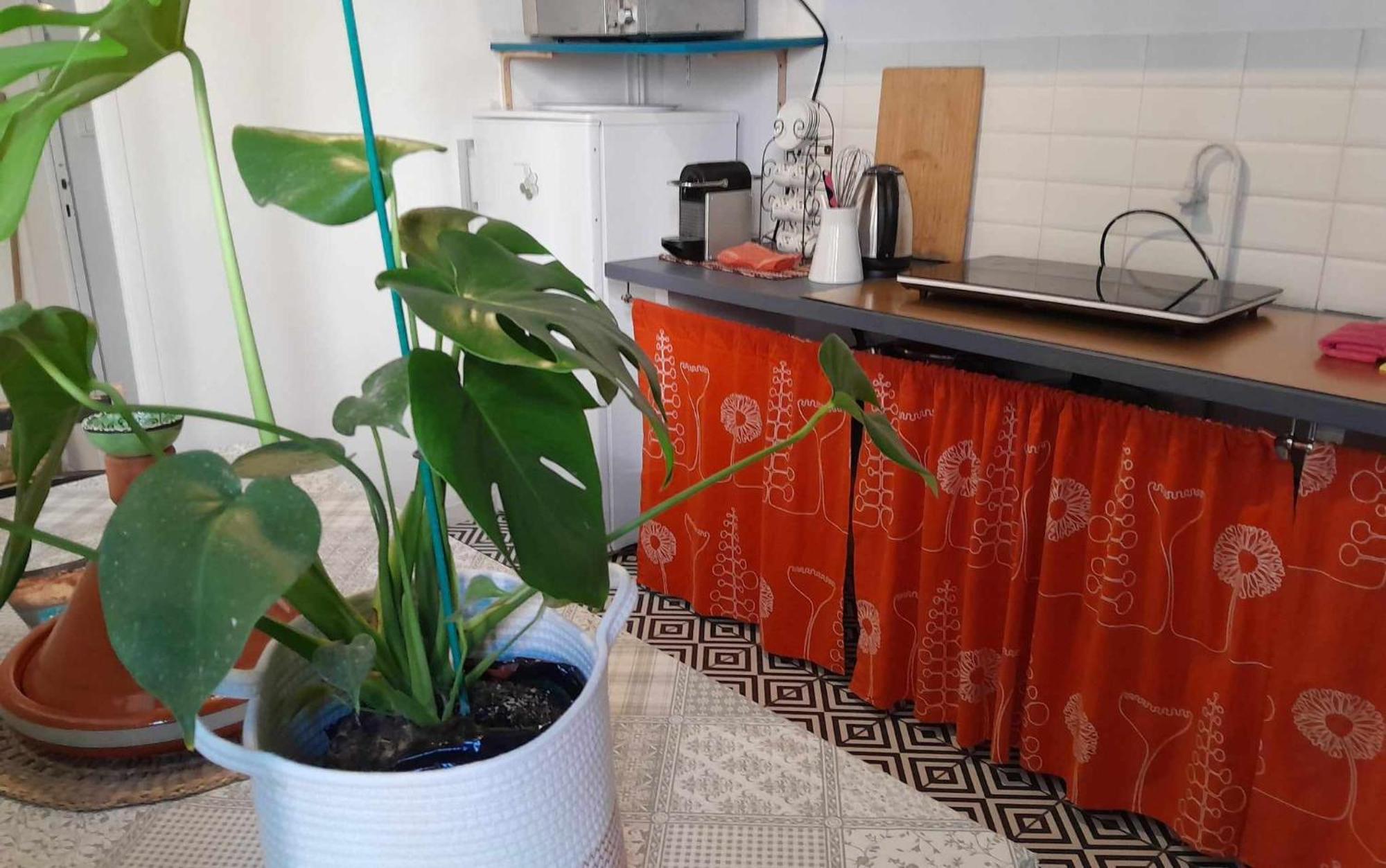 Cosy Appartement Familial Au Coeur De Marseille Ngoại thất bức ảnh